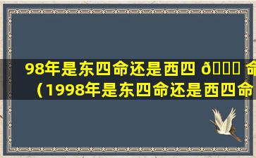 98年是东四命还是西四 🐘 命（1998年是东四命还是西四命）